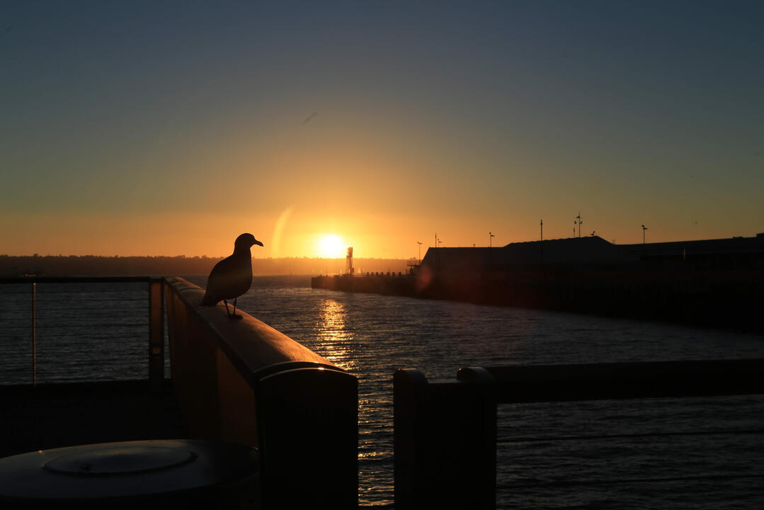 NAS North Island - San Diego, CA