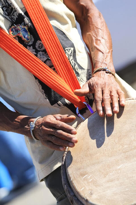 Charles H. Wright Festival - Detroit, MI