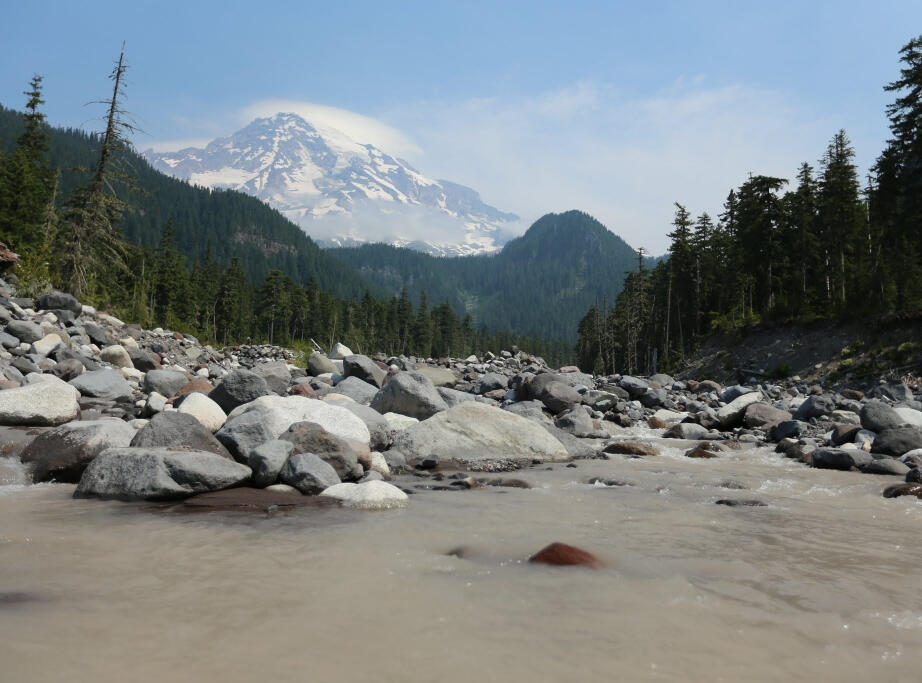 Mt. Rainer, WA